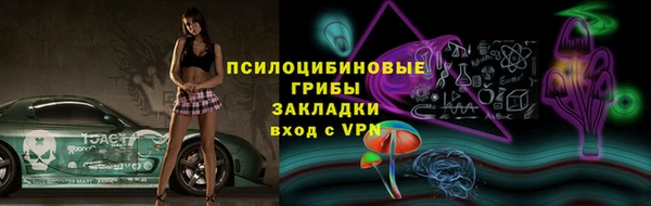 тгк Аркадак