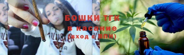 тгк Аркадак