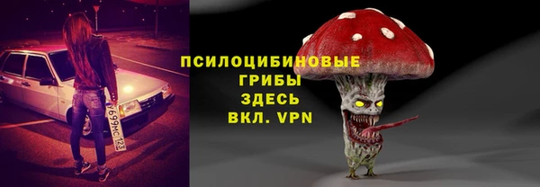 тгк Аркадак