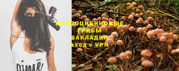 тгк Аркадак