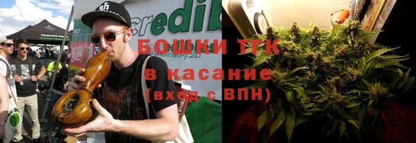тгк Аркадак