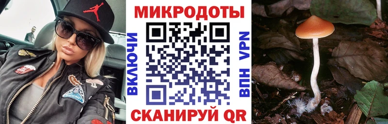 OMG ТОР Навашино Псилоцибиновые грибы прущие грибы